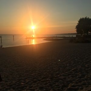 Meet your Posher, Genity